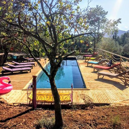 Arche De Noe Atypique, Boheme , Nature, Piscine Chauffee De Paques A Toussaint , Spa , Sauna , Loisirs Le Beausset Ngoại thất bức ảnh