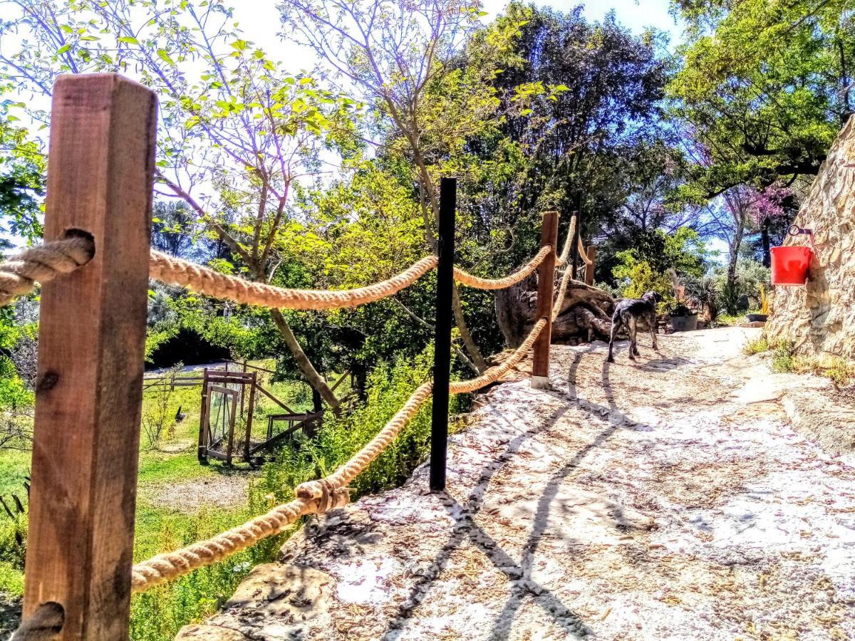 Arche De Noe Atypique, Boheme , Nature, Piscine Chauffee De Paques A Toussaint , Spa , Sauna , Loisirs Le Beausset Ngoại thất bức ảnh