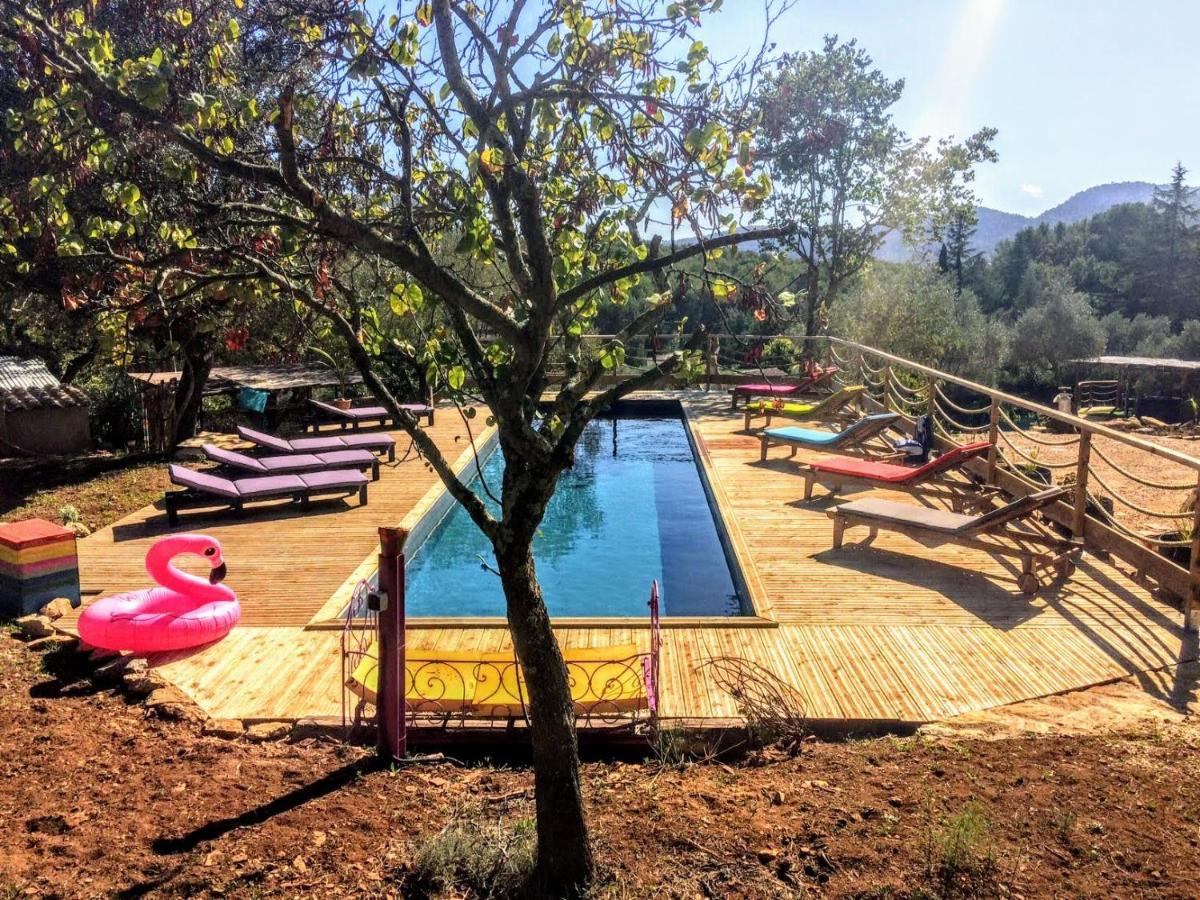 Arche De Noe Atypique, Boheme , Nature, Piscine Chauffee De Paques A Toussaint , Spa , Sauna , Loisirs Le Beausset Ngoại thất bức ảnh